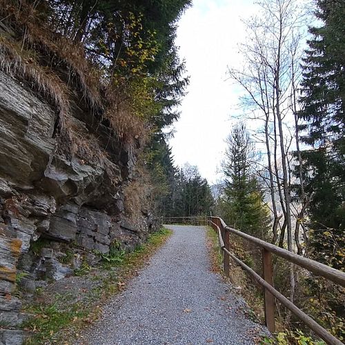 Walking next to a rocky mountain wall overgrown by plants and trees makes you feel how old this world is

#mountains #alps #h...