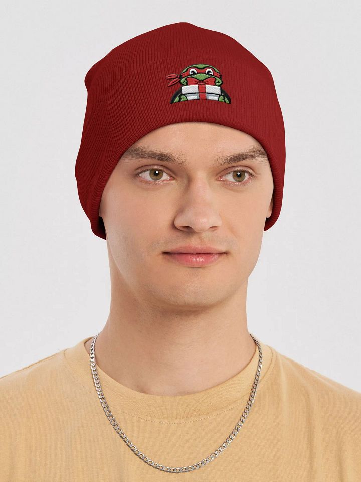 Holiday Raph Knit Beanie product image (21)