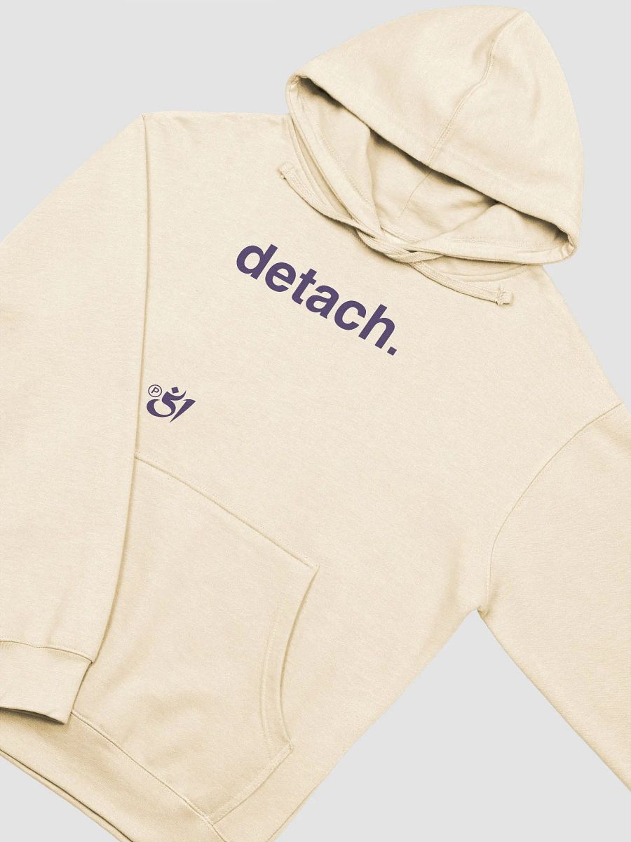detach. hoodie product image (3)