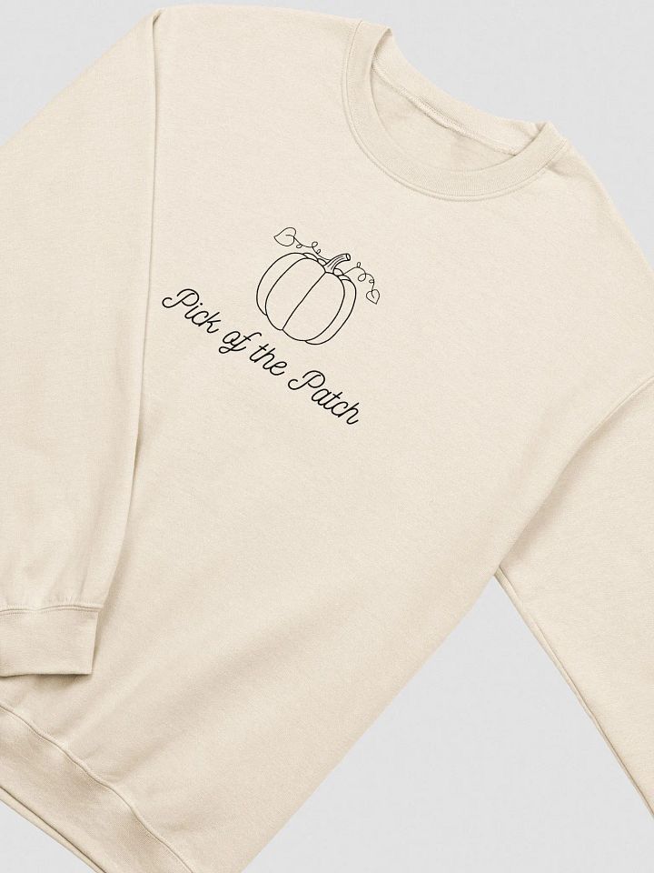 Pick of the Patch Pumpkin Fall Embroidery Sweatshirt – Unisex Autumn Apparel product image (2)