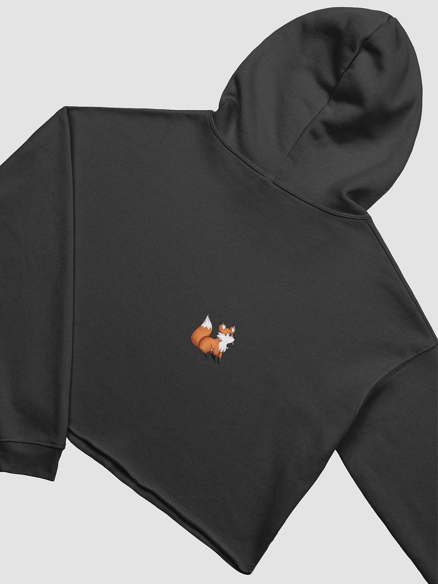 vF0xi Crop Hoodie product image (4)