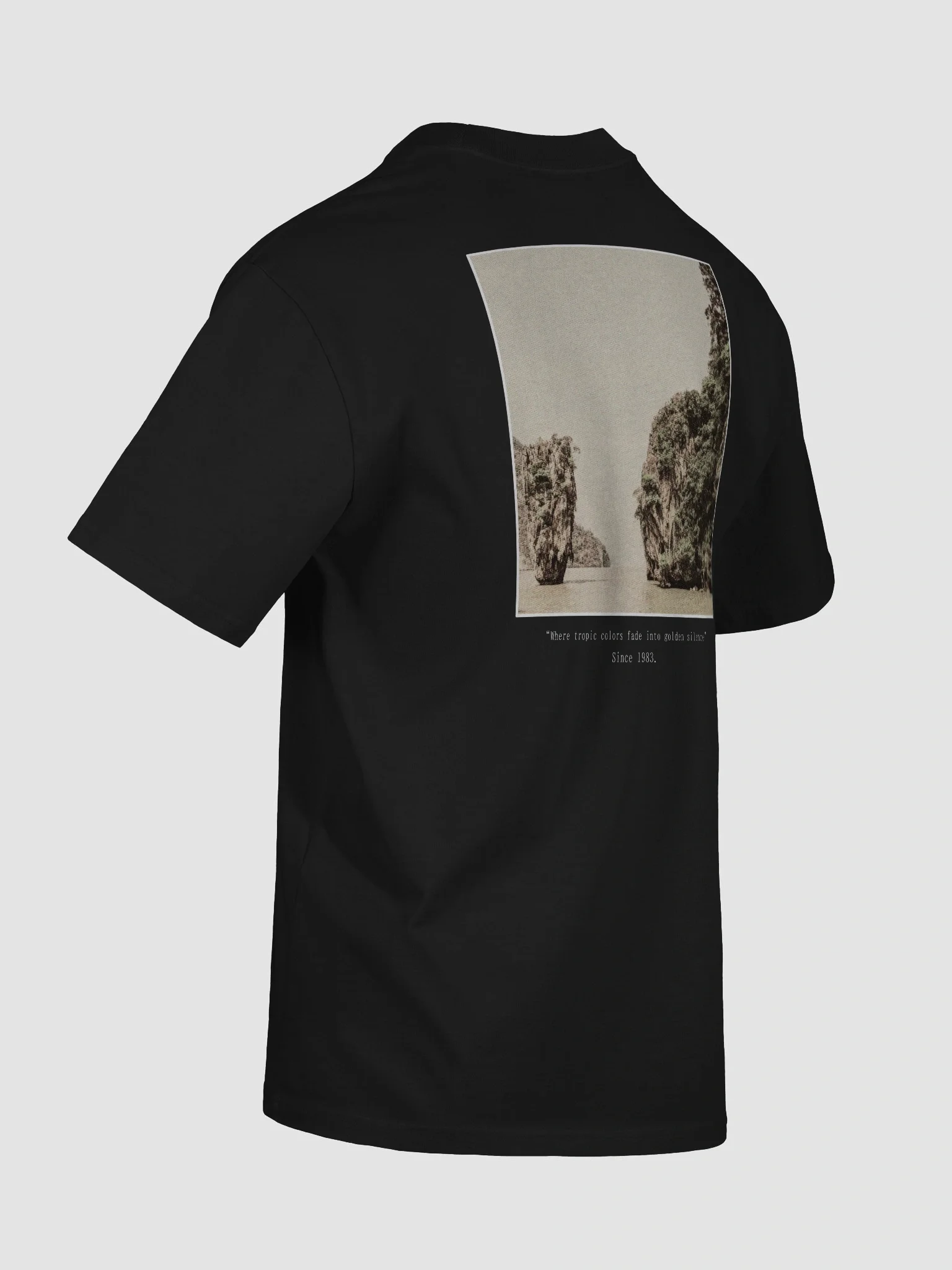 Tropic fade Premium Oversized tee product image (9)