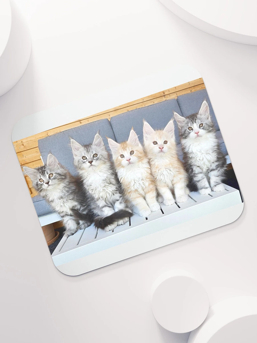 Maine Coon Kittens Mouse Pad product image (7)
