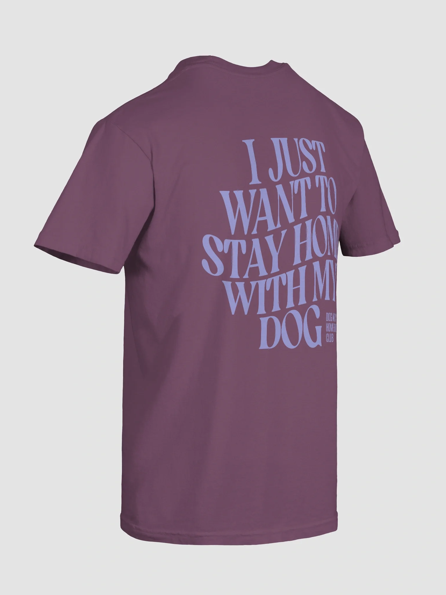 Dog Mom Homebody Dog Shirt product image (12)