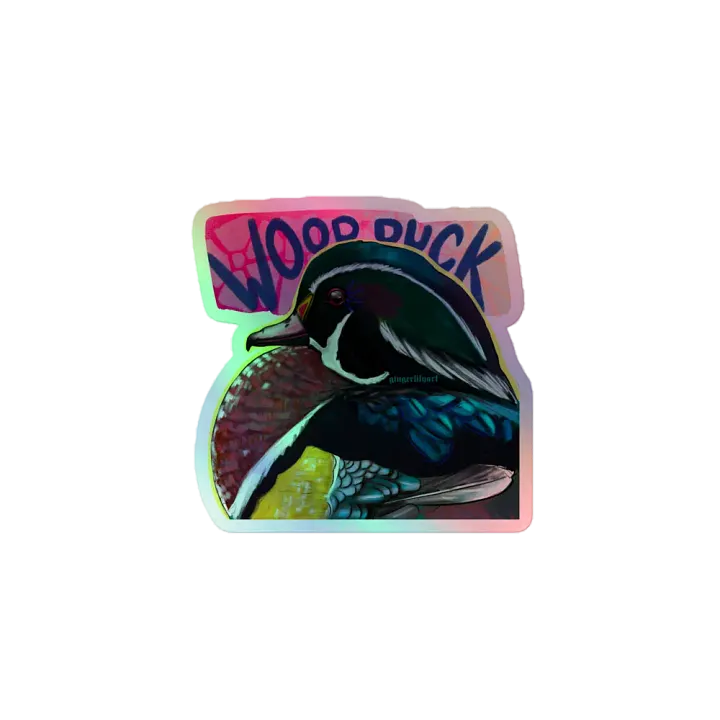 wood duck sticker product image (1)