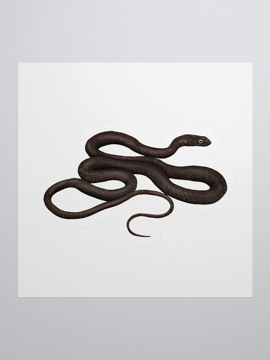Die-Cut Sticker – Black Coachwhip product image (1)