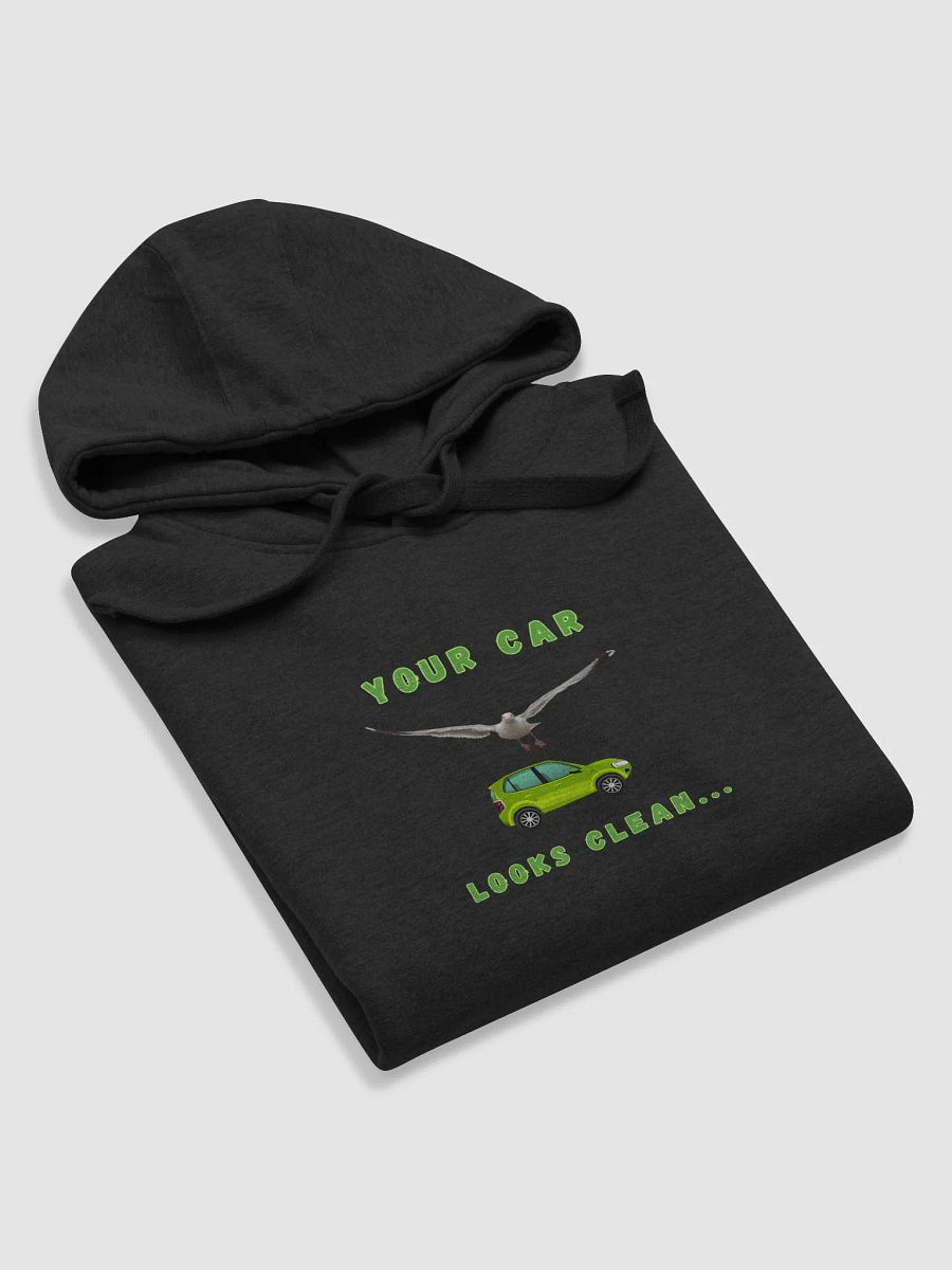 Your Car Looks Clean... Seagull Green Car Hoodie product image (25)
