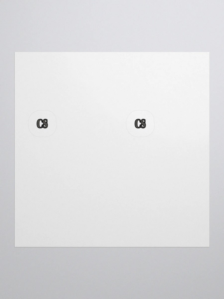 CS Stealth Stickers 2PK product image (1)