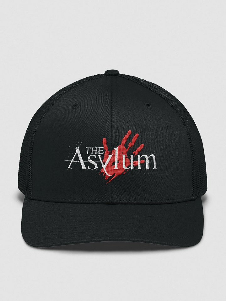 The Asylum product image (2)