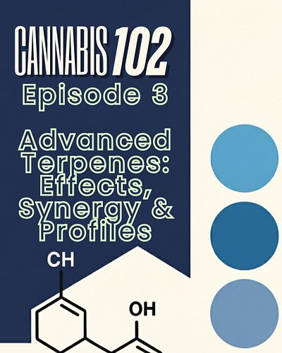 🌿 Cannabis 102:Ep 3 - Advanced Terpenes — Effects, Synergy & Profiles

Terpenes are more than aroma — they help shape how can...