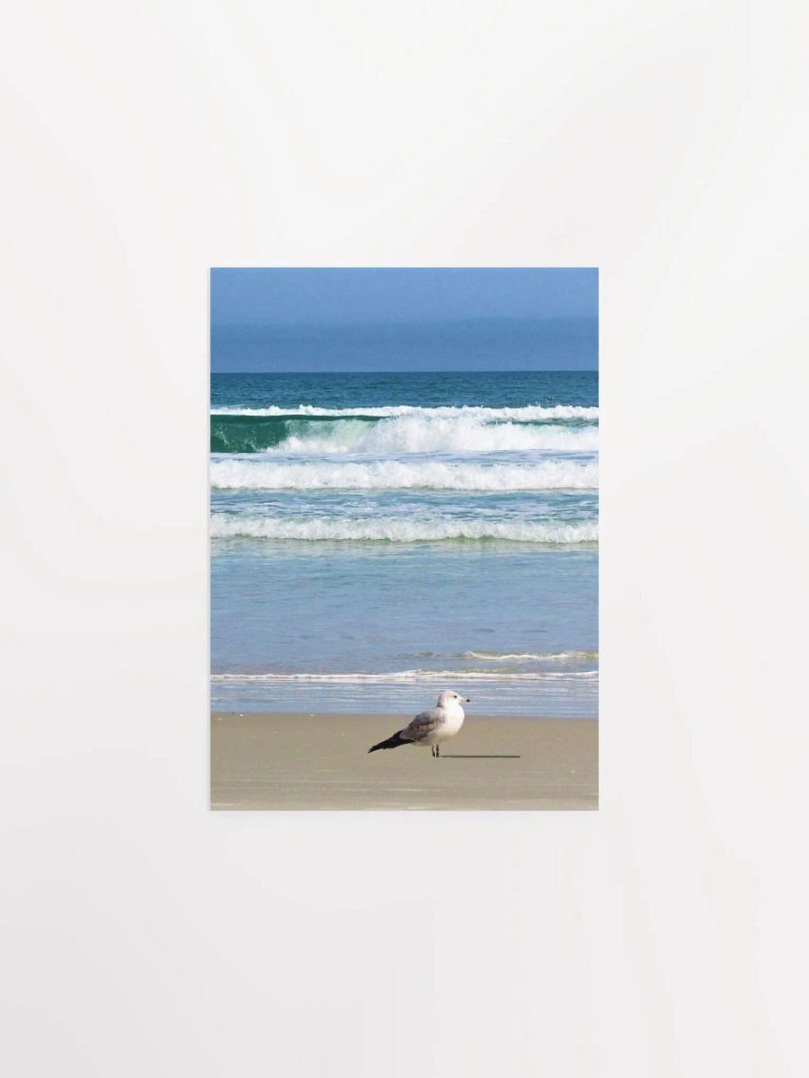 Beach Bird product image (2)