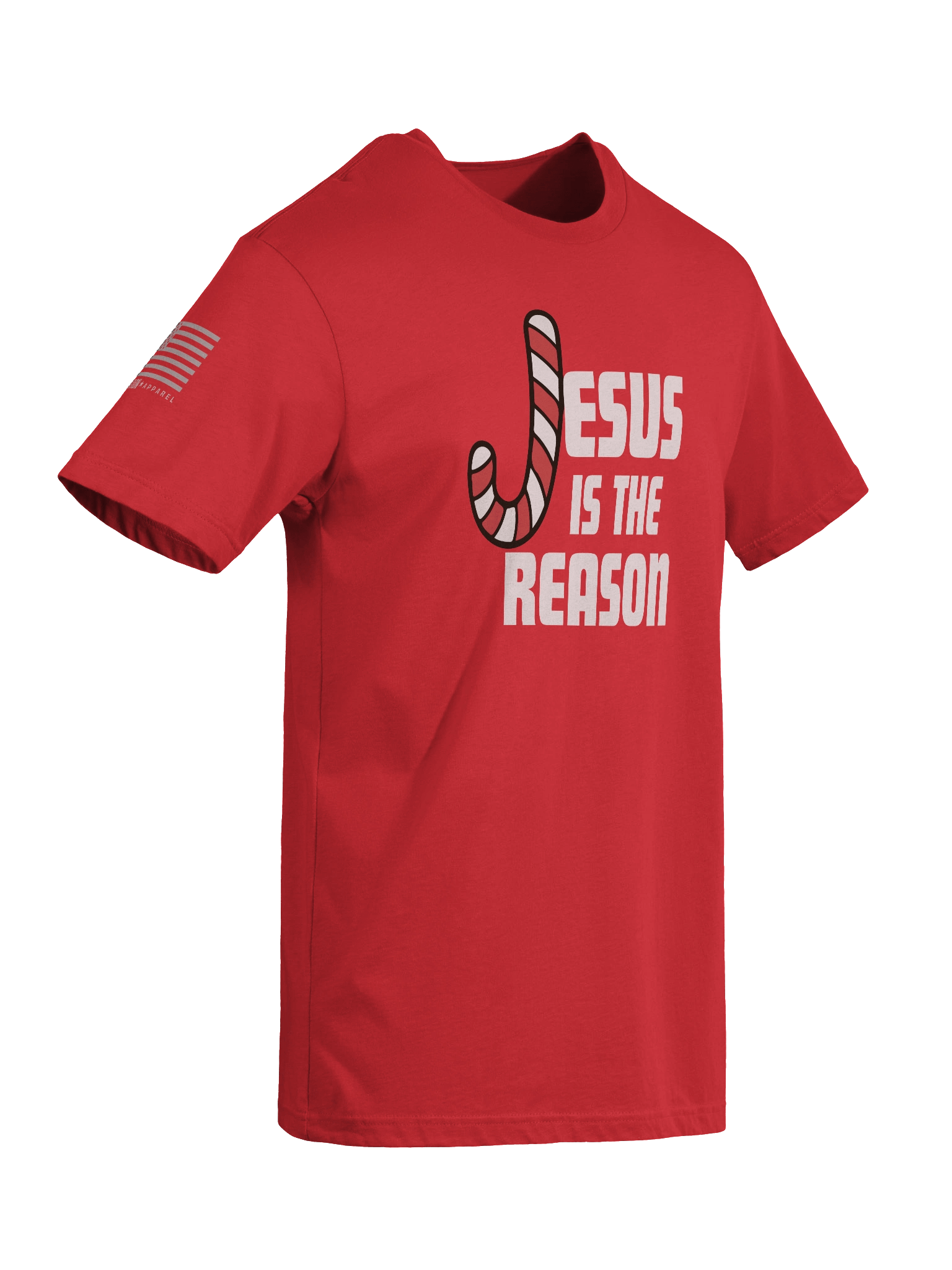 Jesus Is The Reason T-Shirt product image (9)