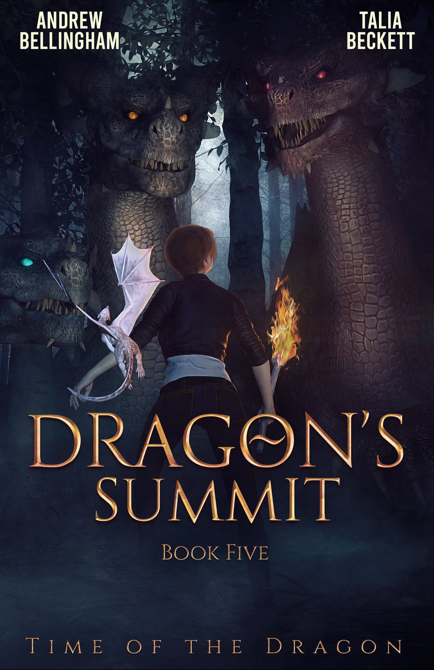 Dragon's Summit - signed paperback product image (1)