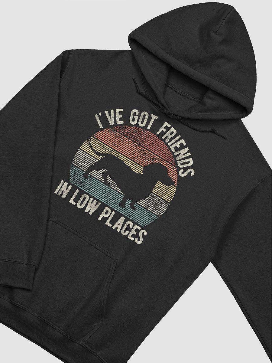 I've Got Friends in Low Places Dachshund Hooded Sweatshirt | Funny Hoodie for Doxie/Wiener Paw-rents product image (6)