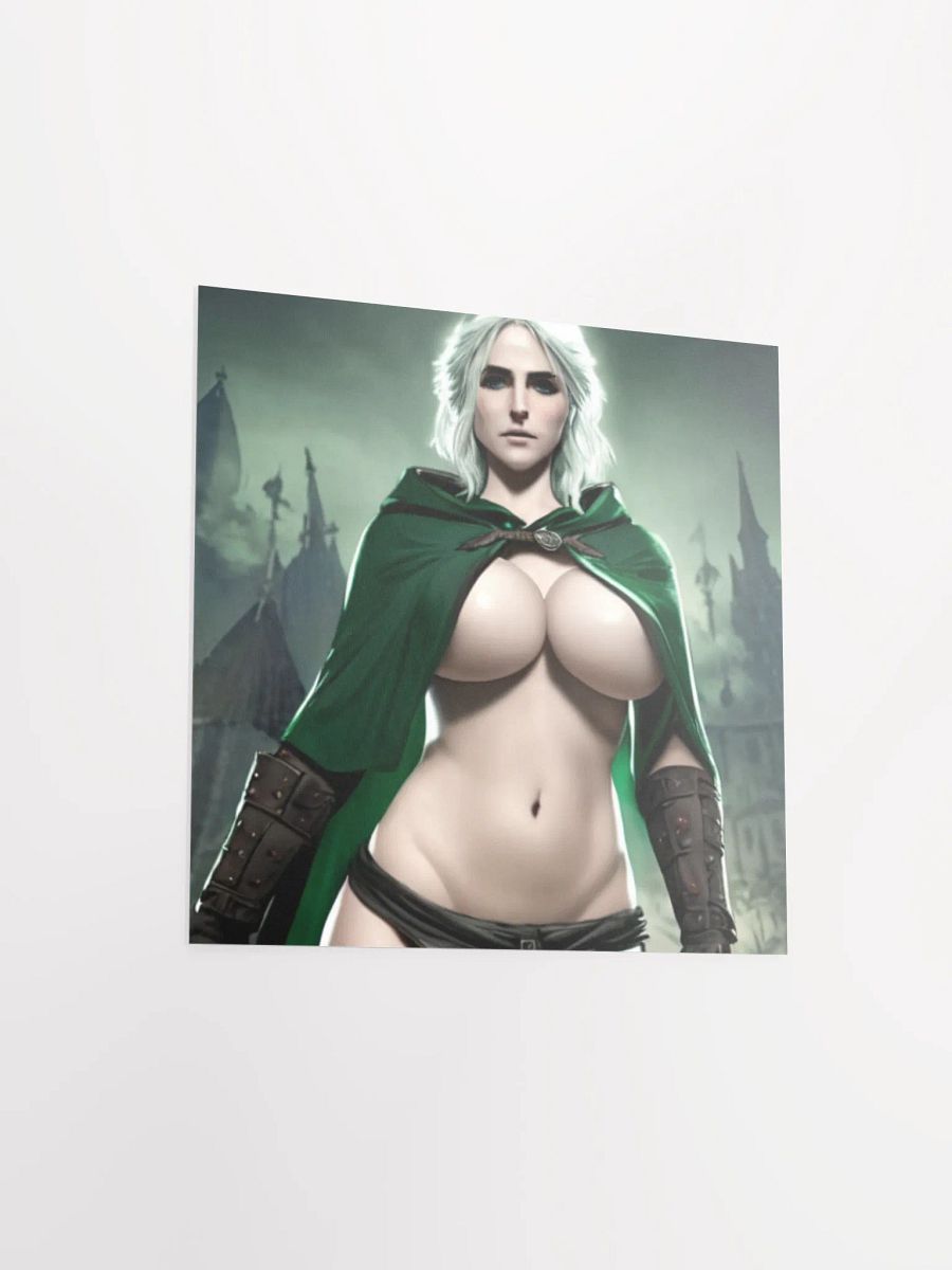 Enigmatic Guardian Fantasy Poster product image (13)
