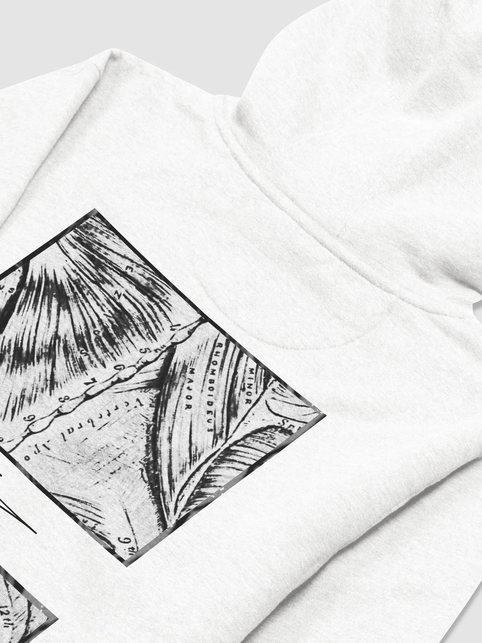 OPEN UP HOODIE - LIGHT product image (1)
