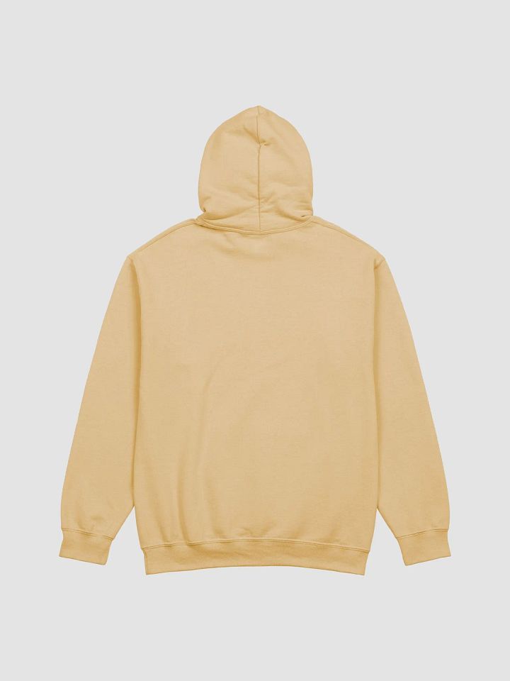 Rick Davoice SHINE Hoodie product image (2)