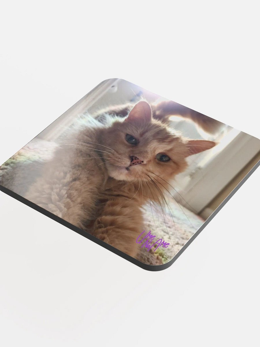Gus Stretchies Coaster product image (4)