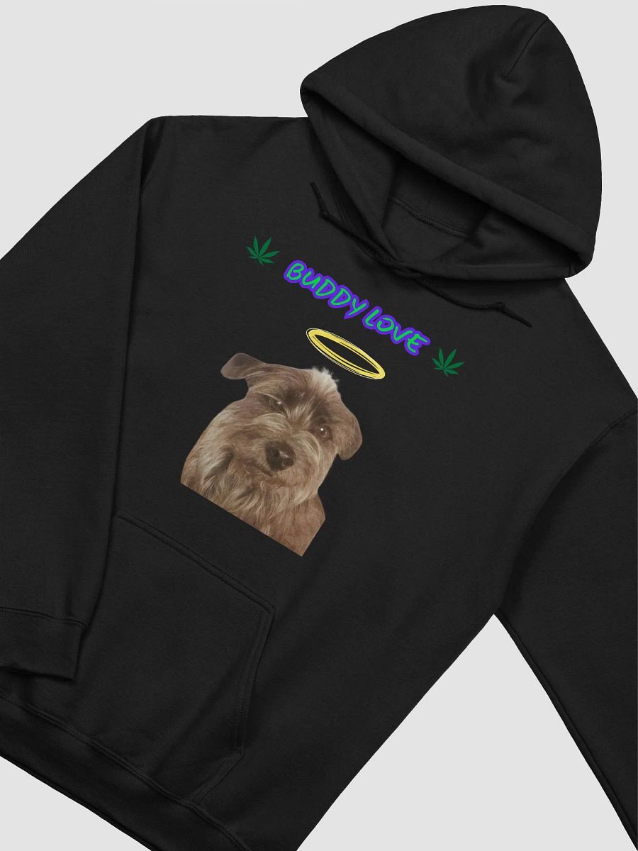 Buddy Hoodie product image (3)