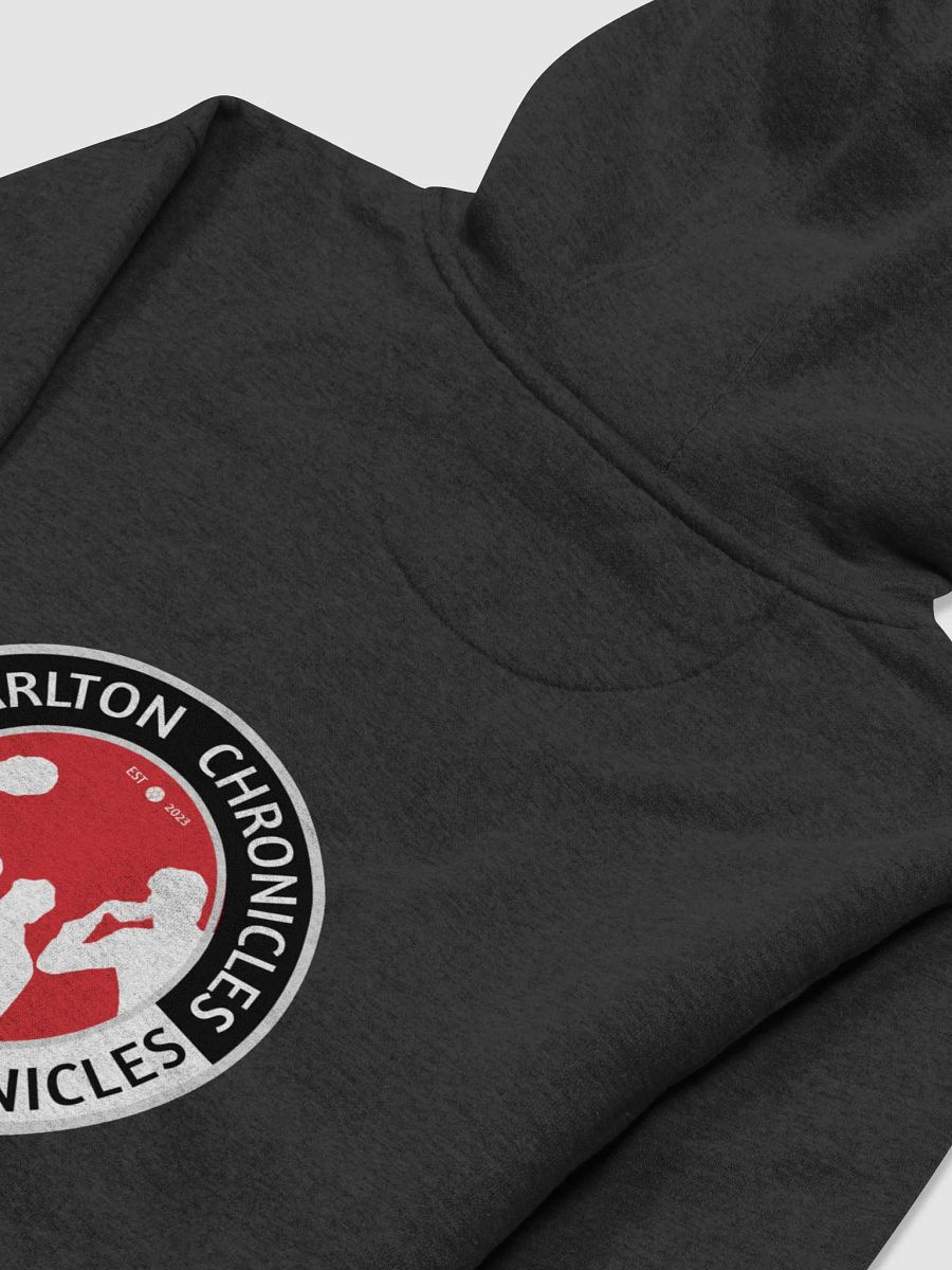 The Charlton Chronicles Jumper product image (18)