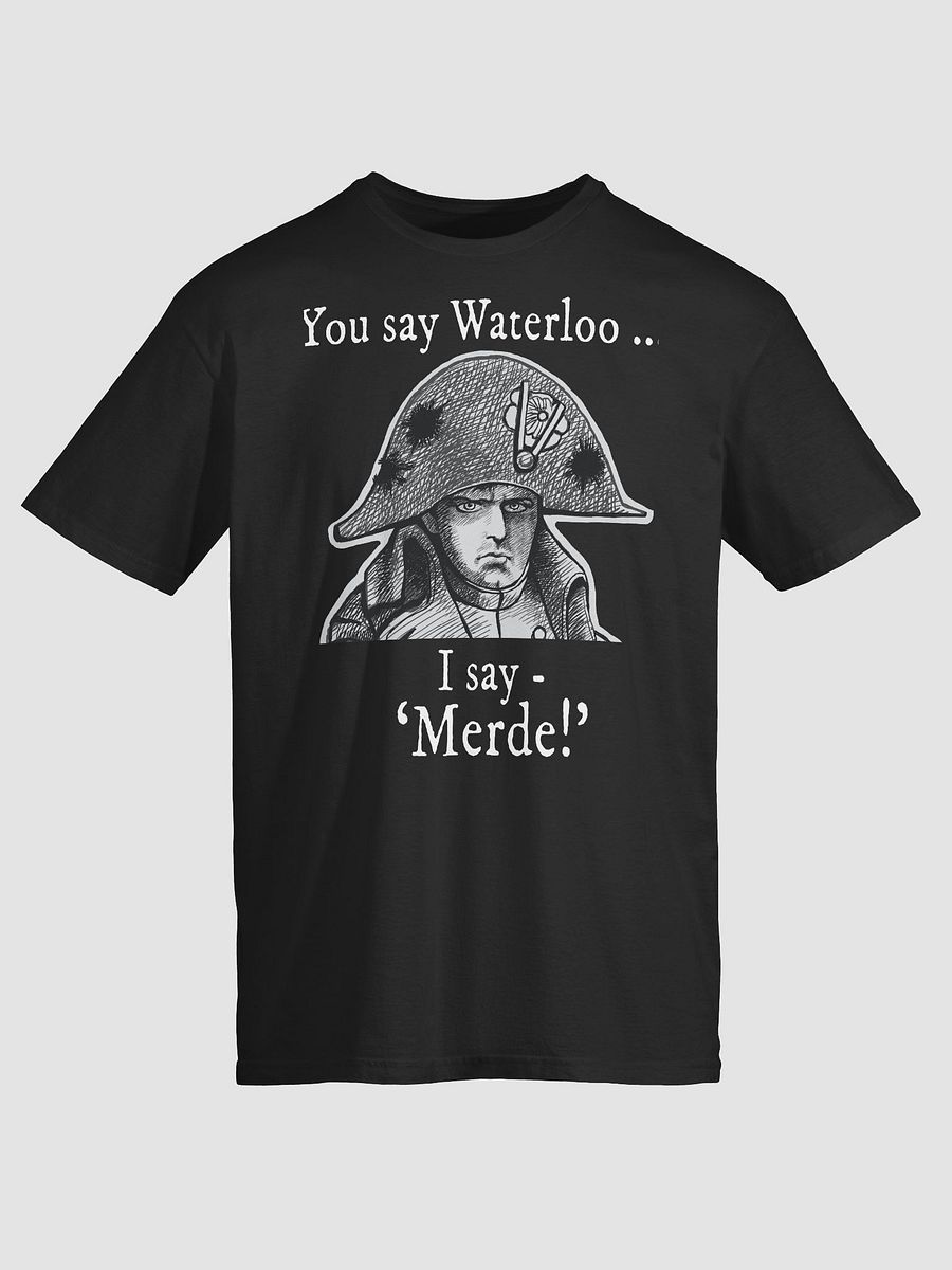 Napoleon's Waterloo: funny history T-shirt product image (1)