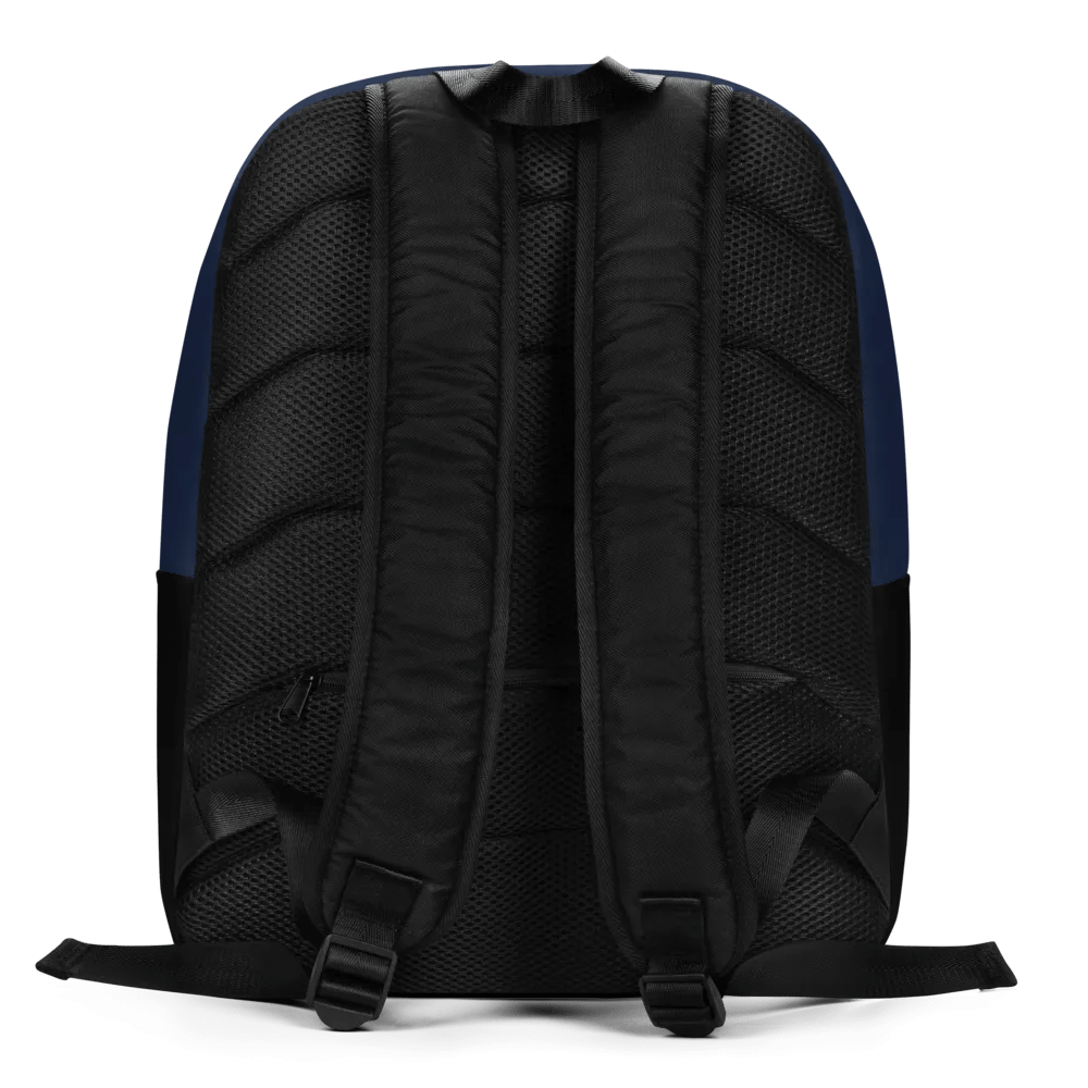 Raymond Lewis L.A. Legend Blue Backpack product image (4)