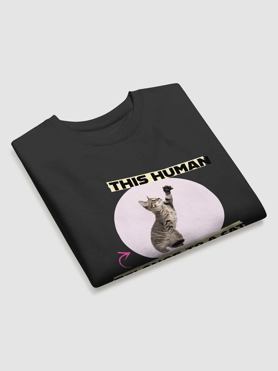 Playful Pet Owner Sweatshirt product image (19)