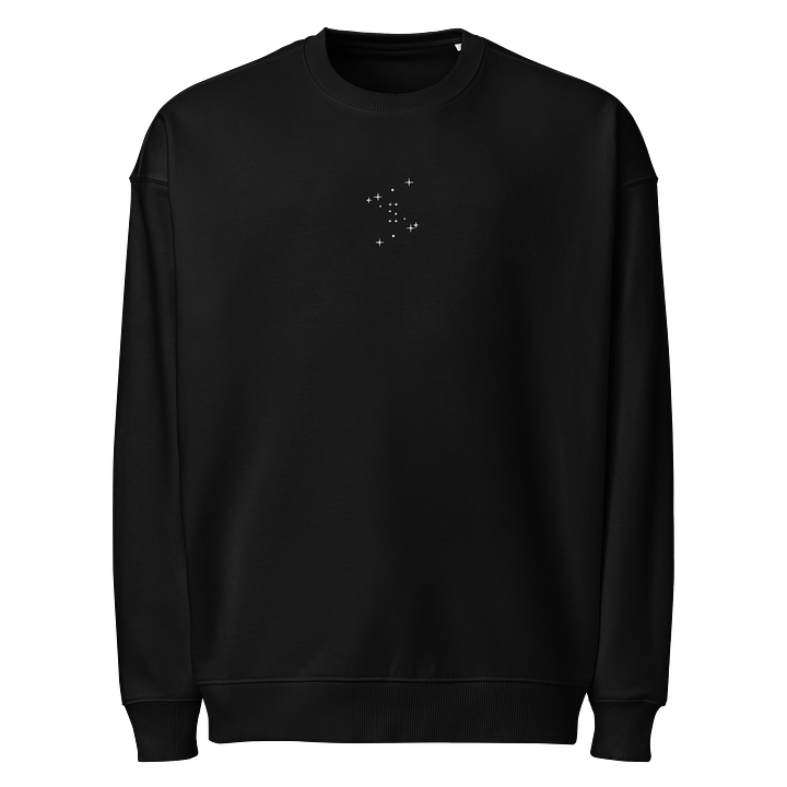 'CONSTELLATION ALT' embroidered OVERSIZED sweaty product image (1)