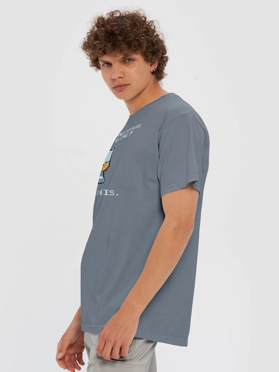 Dangerous Heavyweight Tee product image (6)