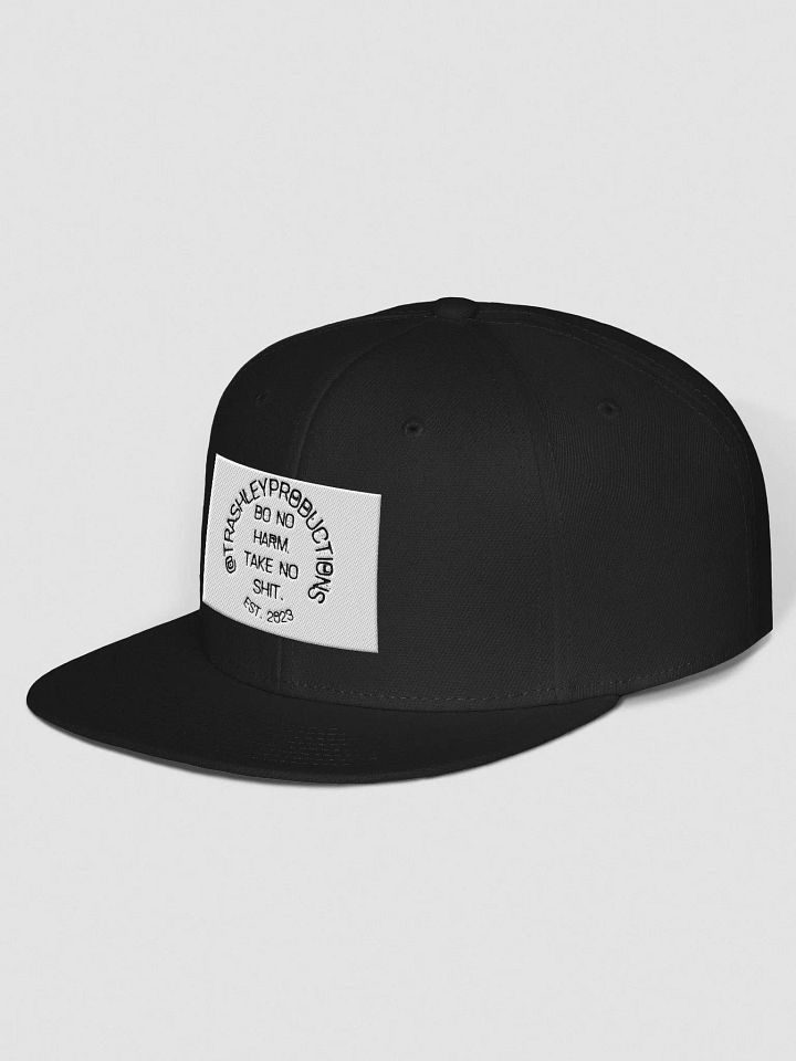 Trashley Logo Snapback product image (2)