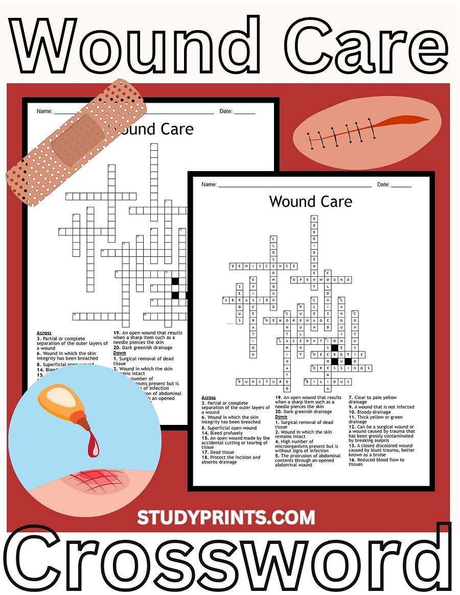 Wound Care Crossword Puzzle for Healthcare Education product image (1)