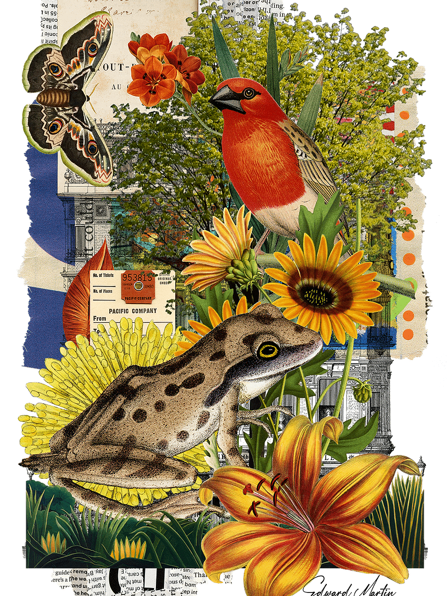 'Nature Collage No. 879' by Edward Martin-Vibrant Matte Poster Print product image (1)