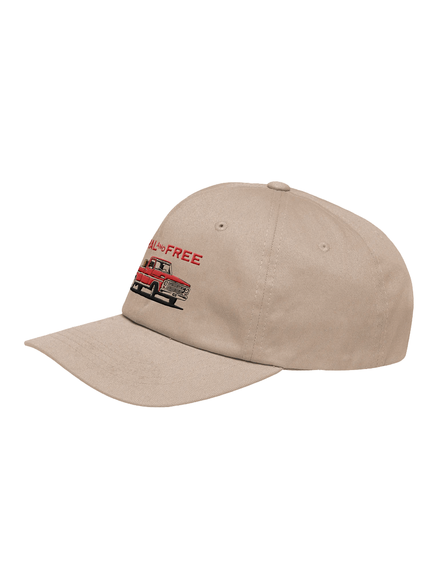 Rural & Free Dad Hat product image (3)