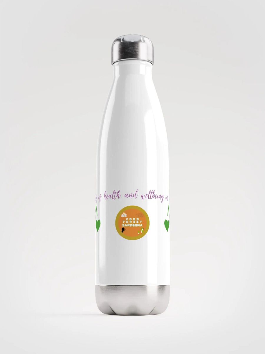 FFS Health Bottle product image (1)