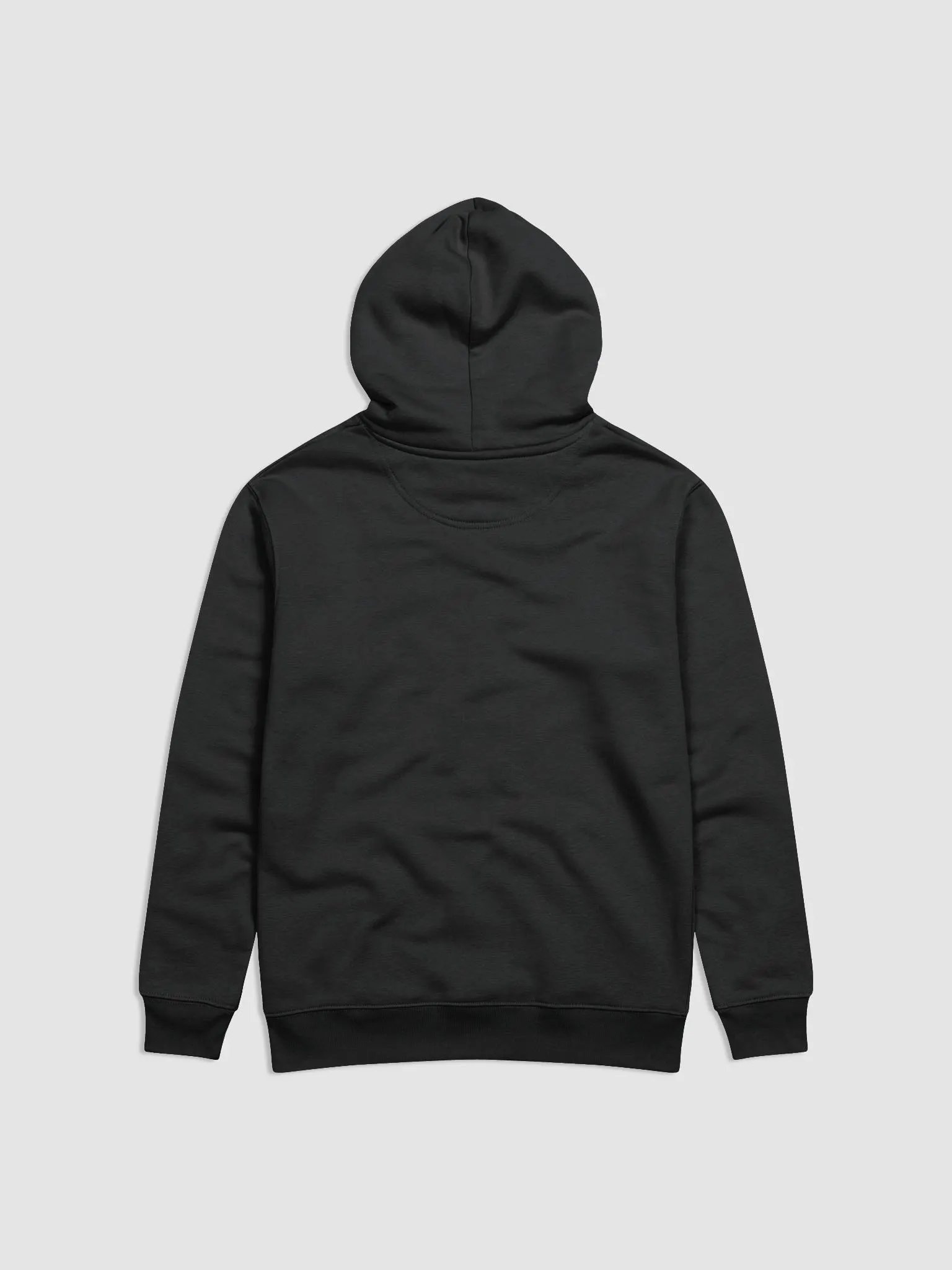MSG OG Eco Hoodie product image (2)