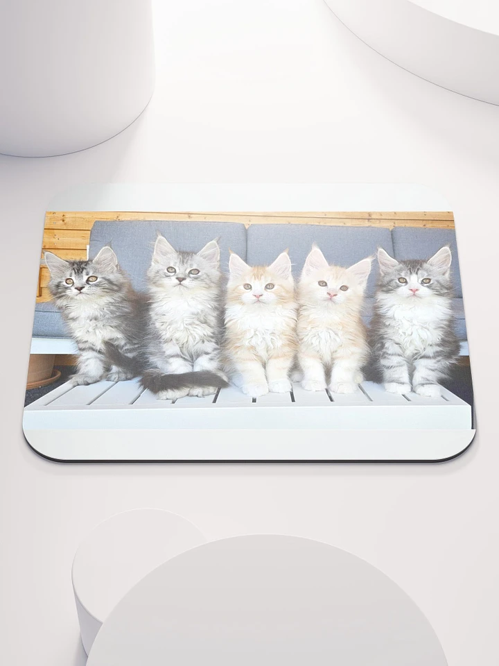 Maine Coon Kittens Mouse Pad product image (1)