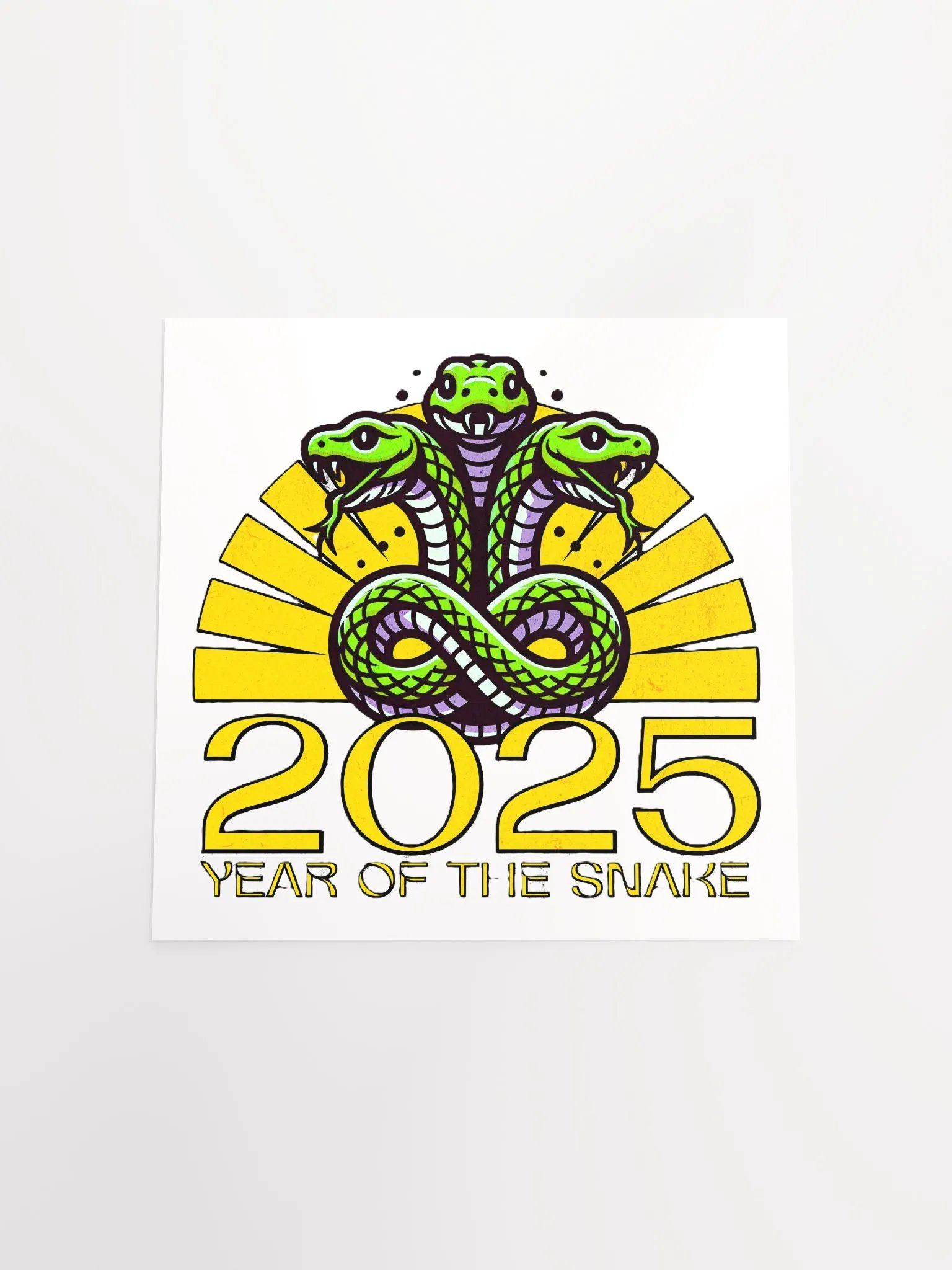 2025 YEAR OF THE SNAKE product image (18)