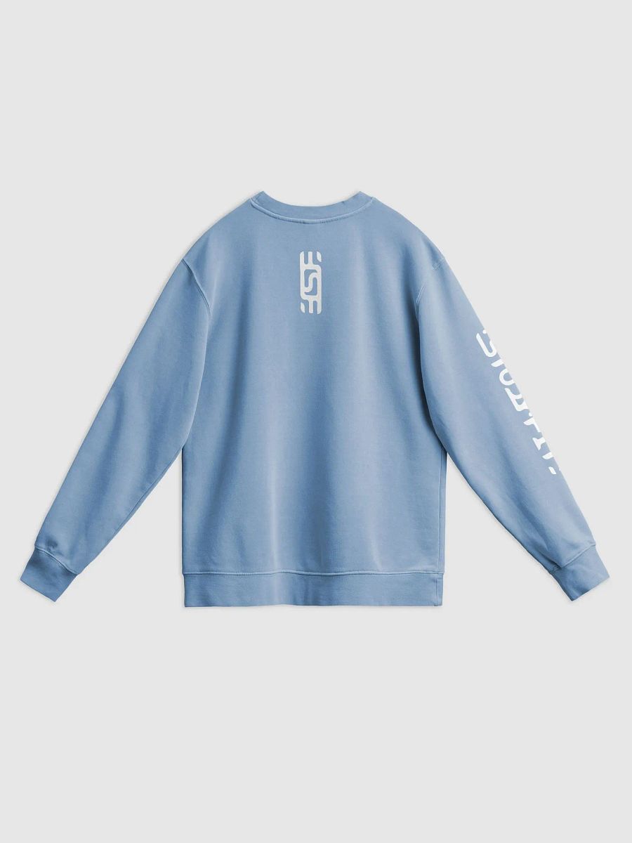 The Study Fit Pigment Dyed Sweatshirt product image (24)