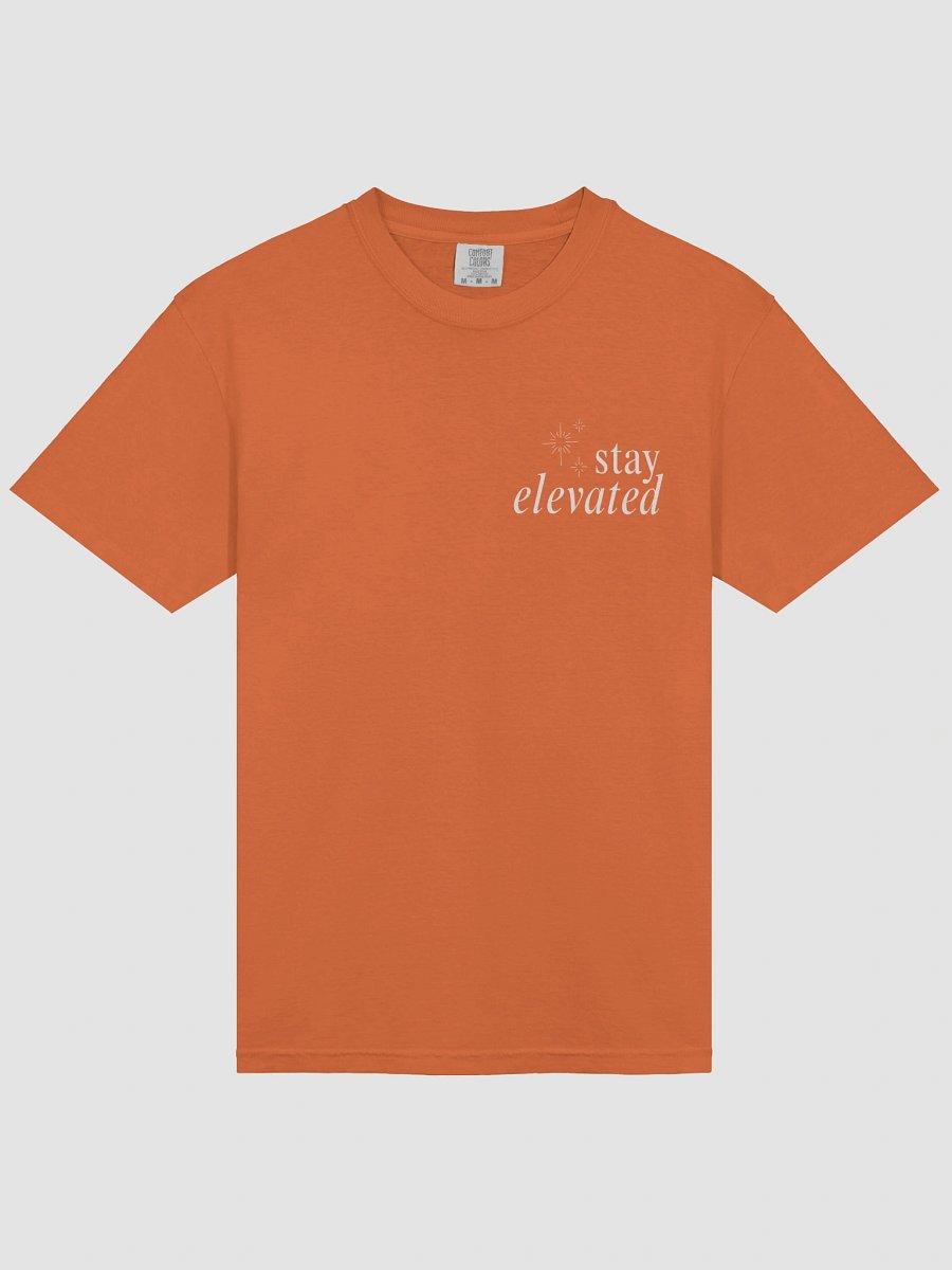 Stay Elevated Screenprint Tee product image (29)