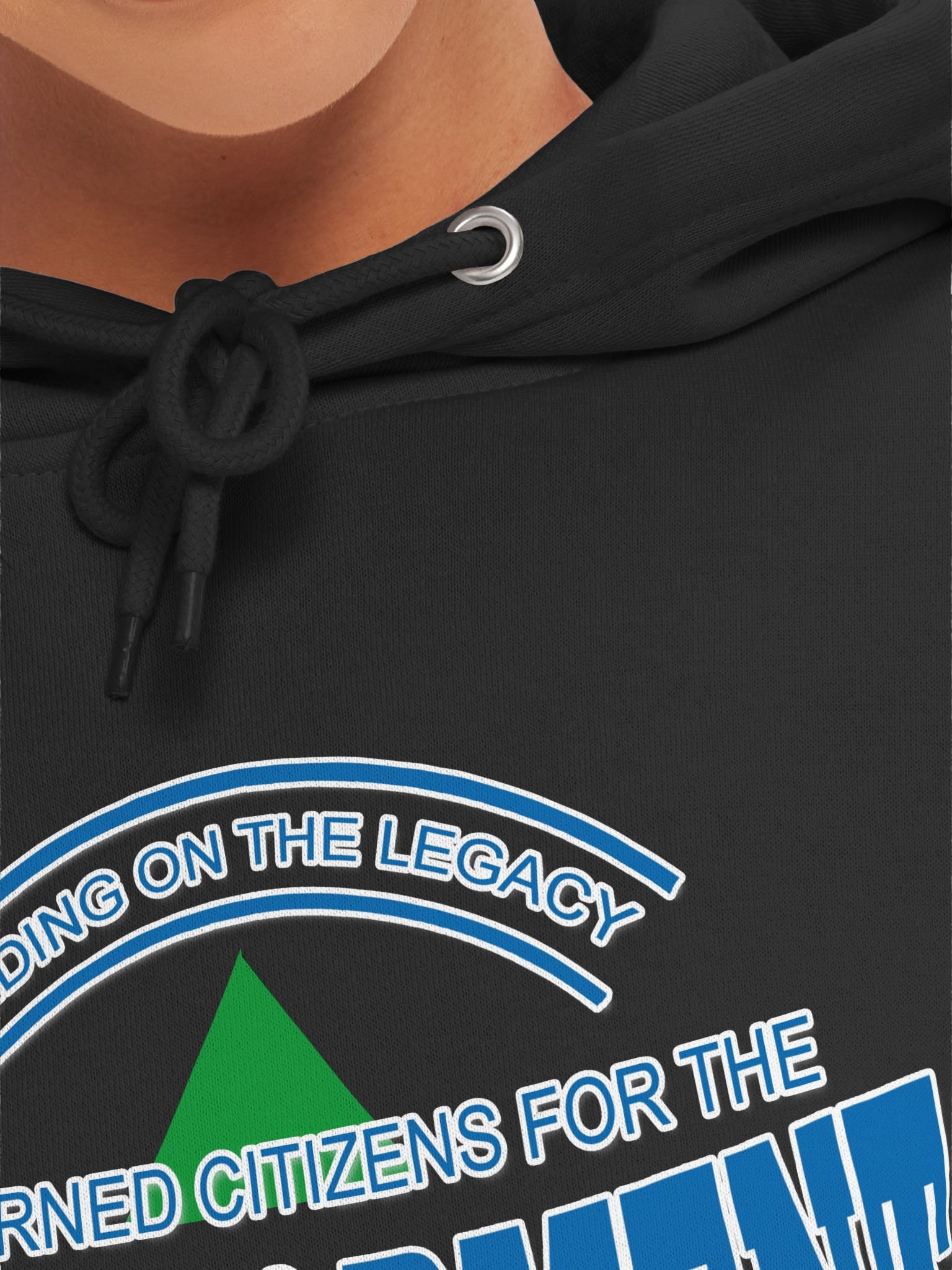 CONCERNED CITIZENS FONTANA HOODIE product image (7)