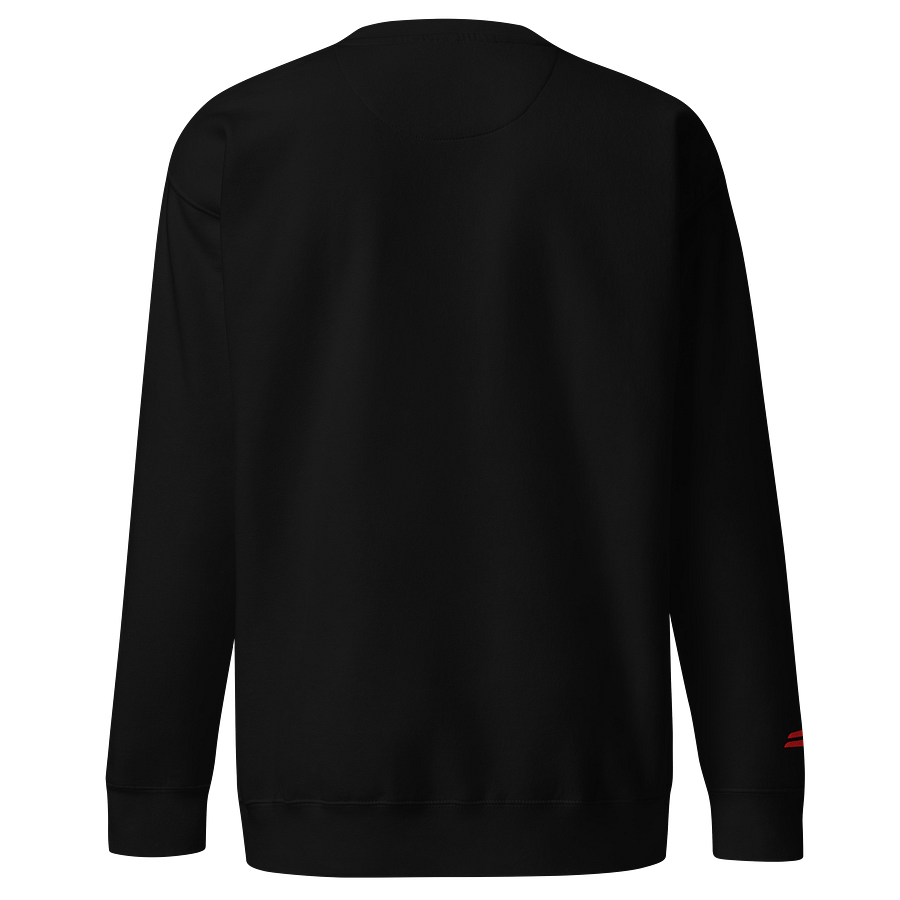 Patriotic Americana Premium Sweatshirt product image (4)