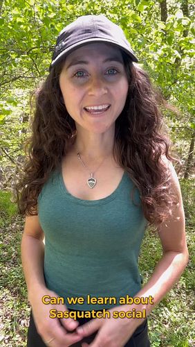 Sasquatch hair condition could potentially give us insights into their social structures and group sizes 🌿 As always, let’s c...