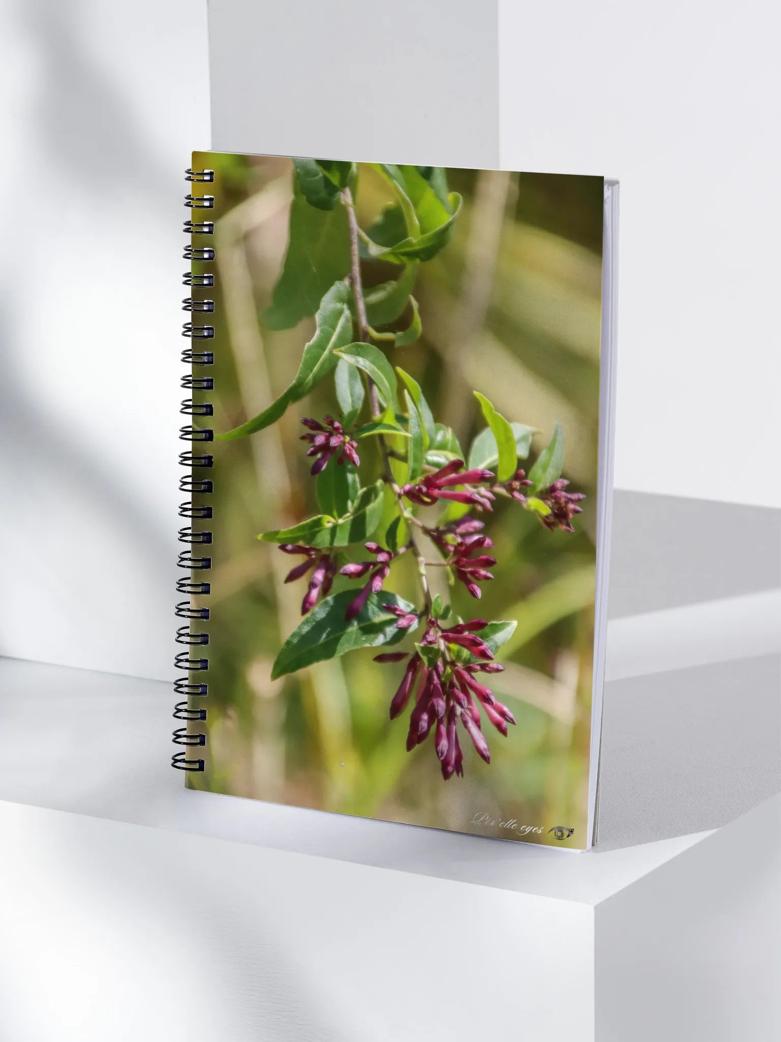 📓 Notebook Collection PURE – Jardin du Rayol – Jasmin Pourpre product image (4)