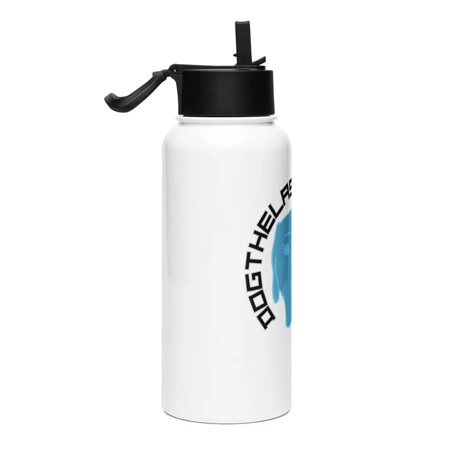 DTLA stainless steel waterbottle product image (4)