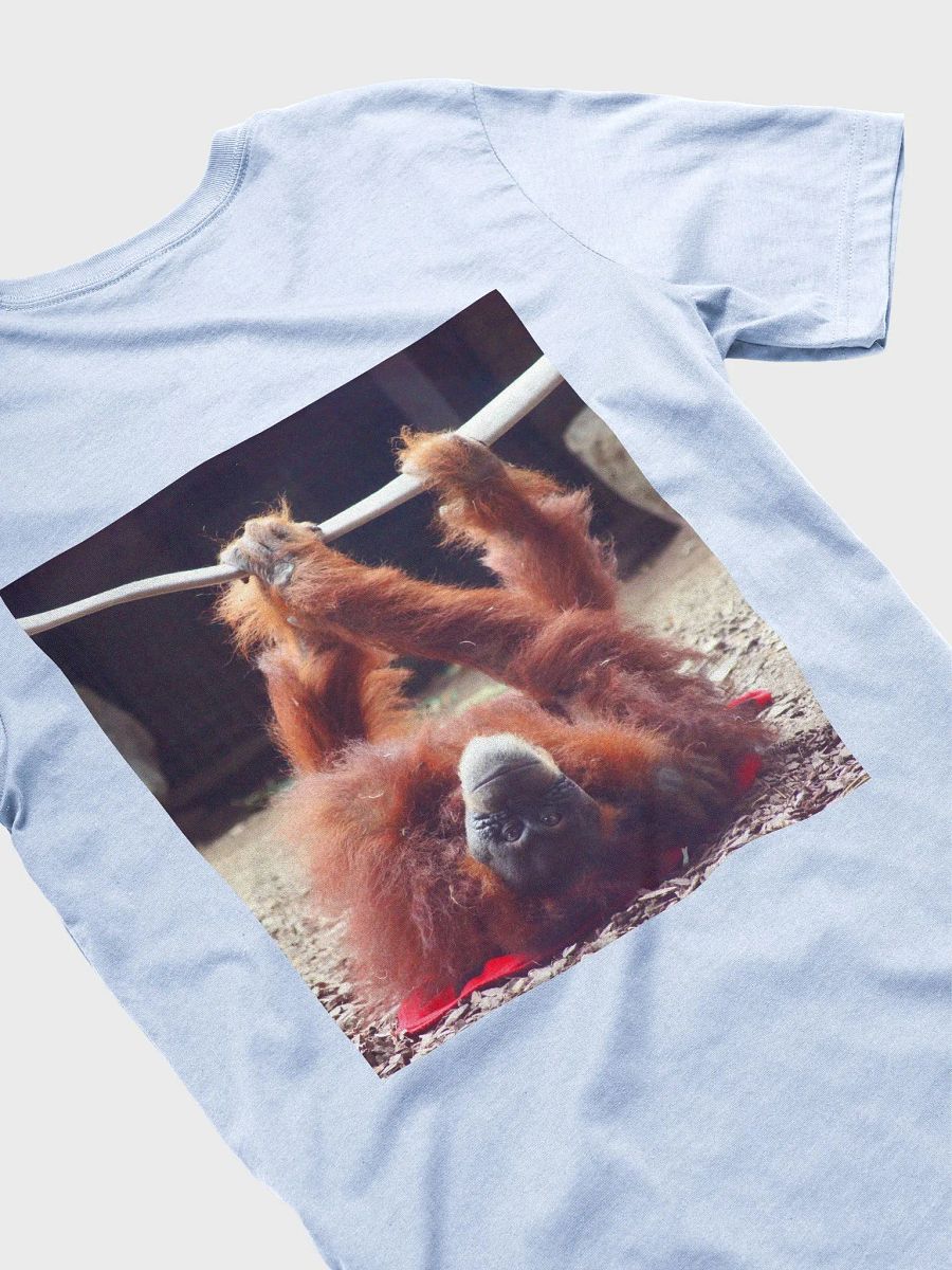 2025 CO3 tee orangutan2 product image (4)
