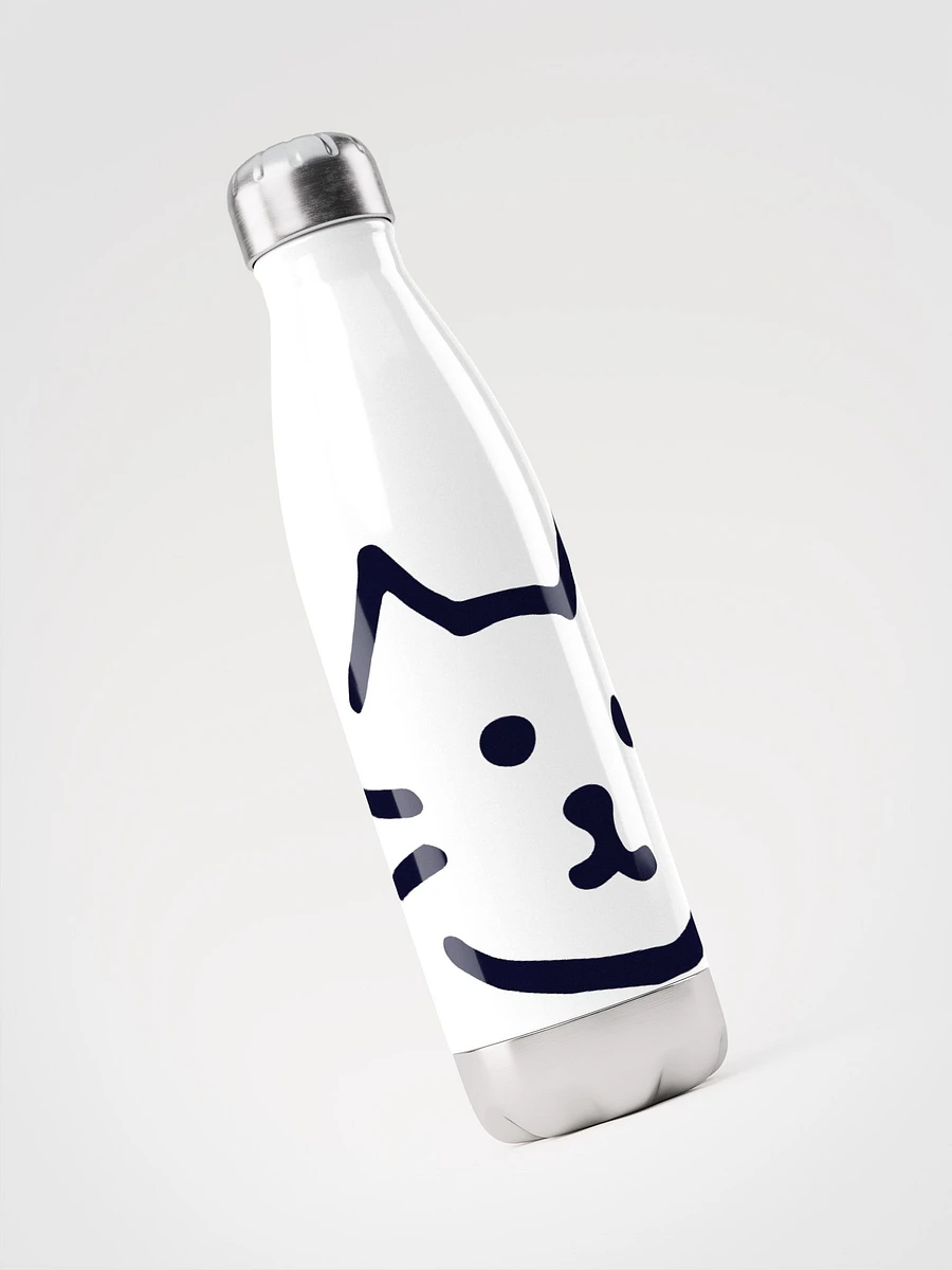 Stainless Steel Water Bottle product image (3)