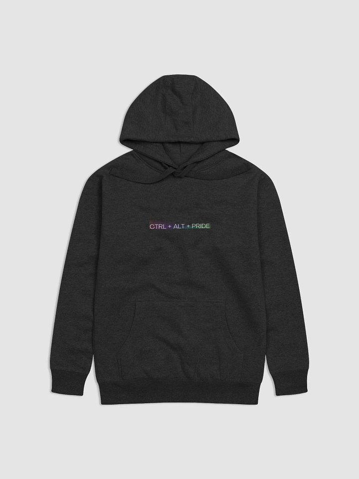 CTRL + ALT + PRIDE - 2WGO PRIDE MERCH - Hoodie product image (5)
