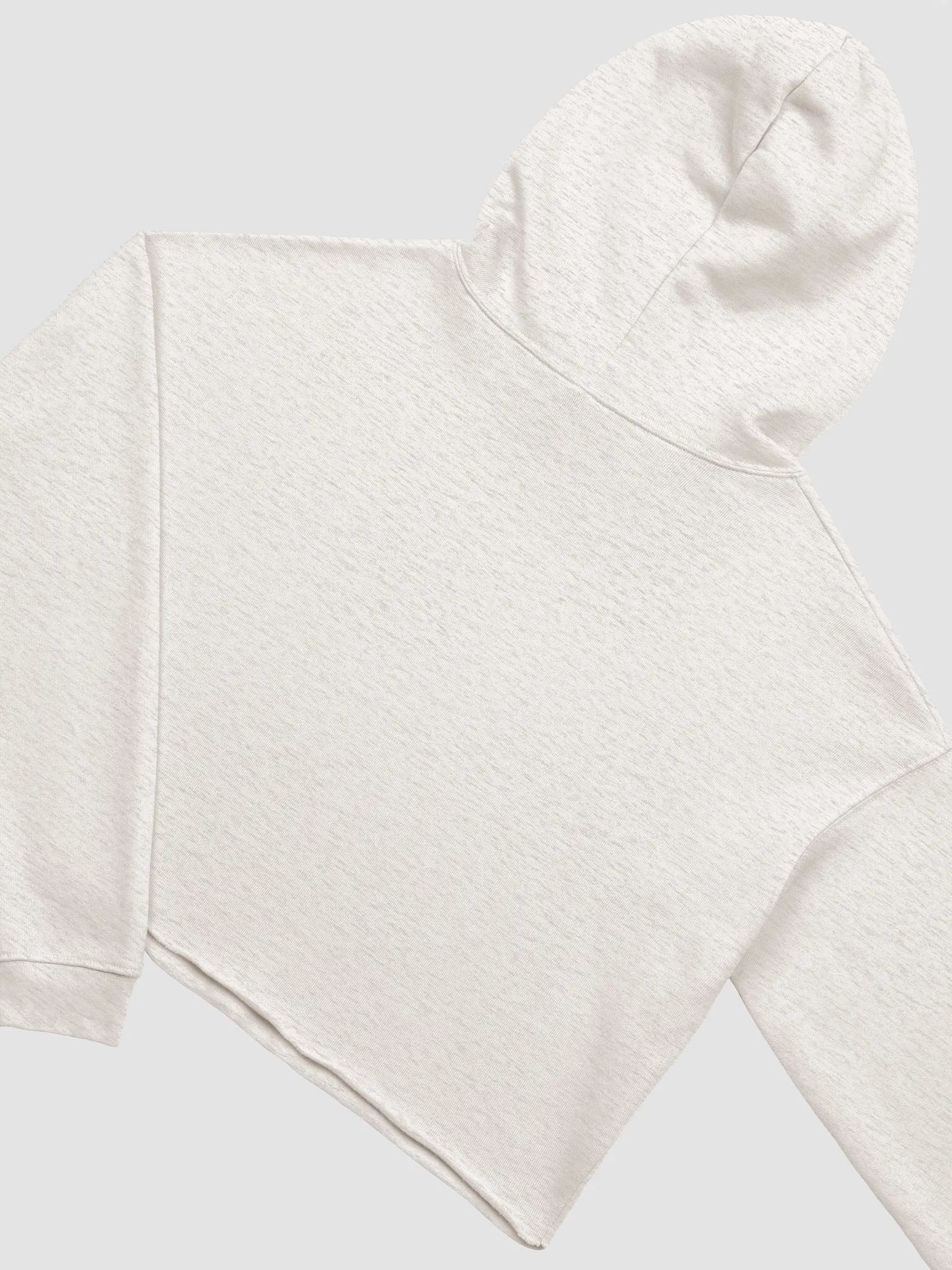 TeddyChan Logo Cropped Hoodie product image (4)