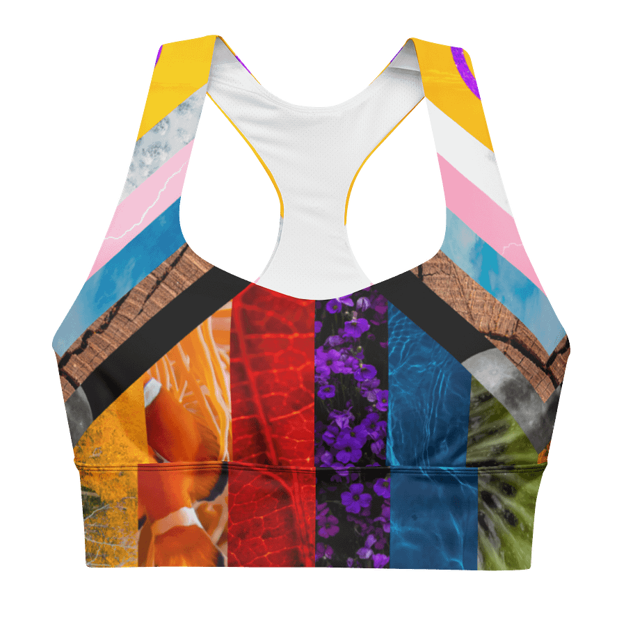 Pride Longline Sports Bra product image (1)