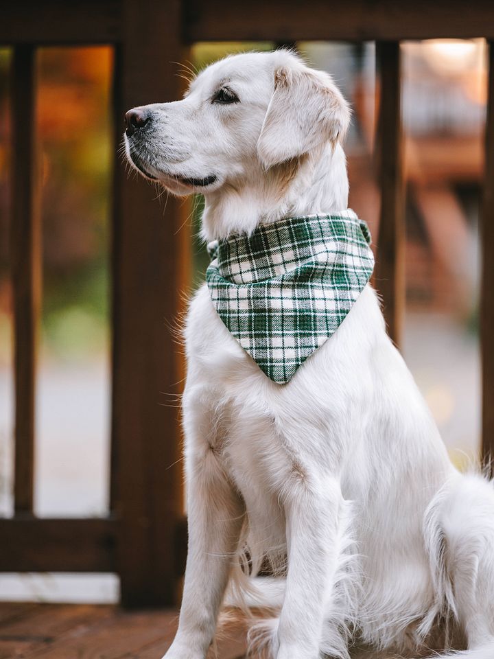 Plaid Bandana product image (2)